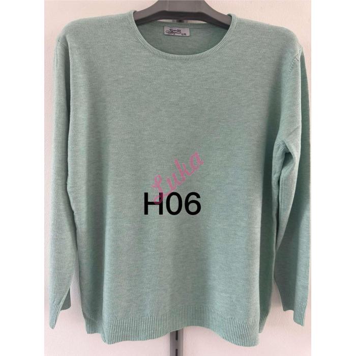 Women's sweater H12