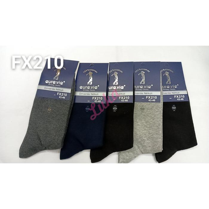 Men's socks Auravia