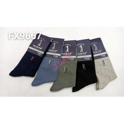 Men's socks Auravia fx9667