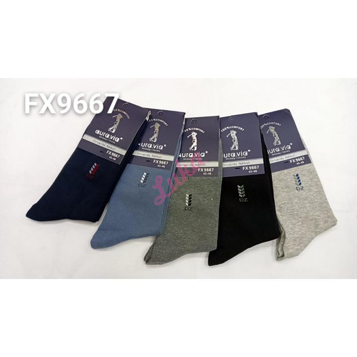 Men's socks Auravia