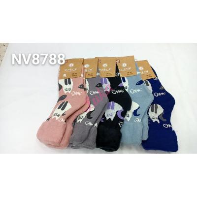 Women's socks THERMO Auravia nv8788