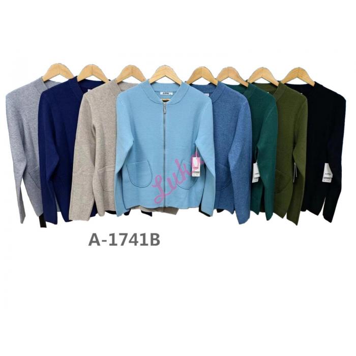 Women's sweater 1741A