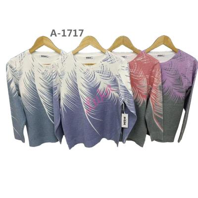 Women's sweater 1717