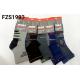 Men's socks Auravia fsv2079