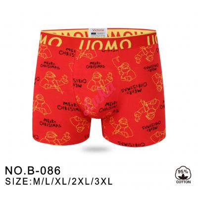 Men's boxer Victoria 086