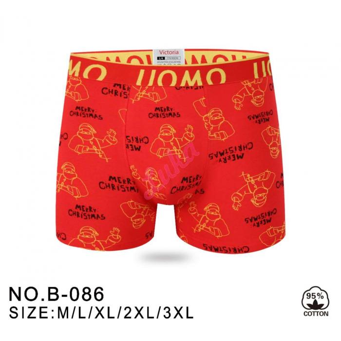 Men's boxer Victoria 085