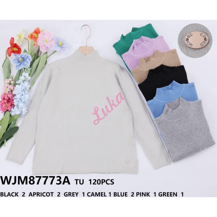 Women's sweater v37