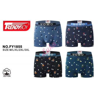 Men's boxer Trendy Boy 1855