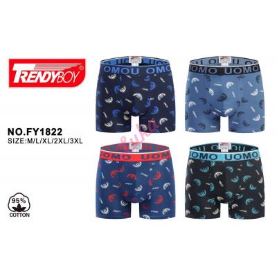 Men's boxer Trendy Boy 1822