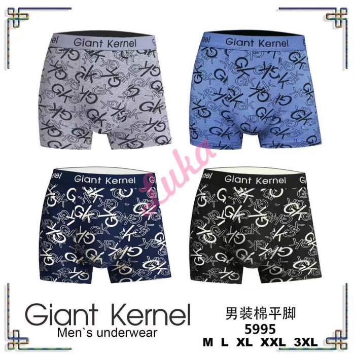 Men's boxer Trendy Boy FY