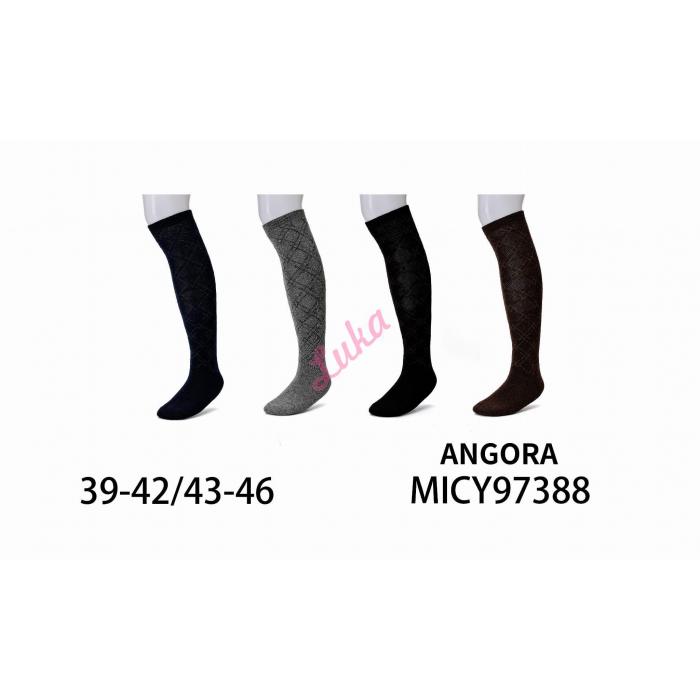 Underknee Men's Socks THERMO MICY97386