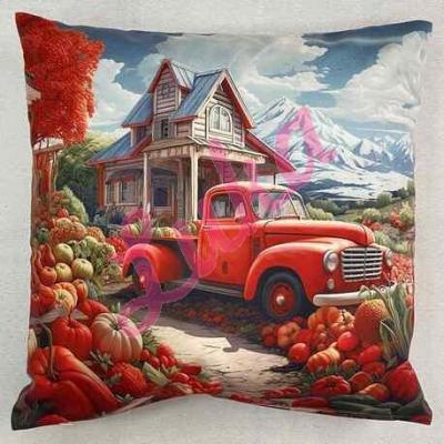 Pillowcase 40x40 PX131