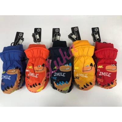 Gloves d24