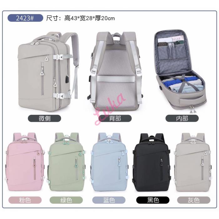 Backpack 2421