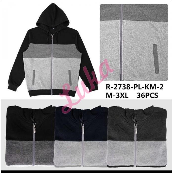 Men's hoodie 2568