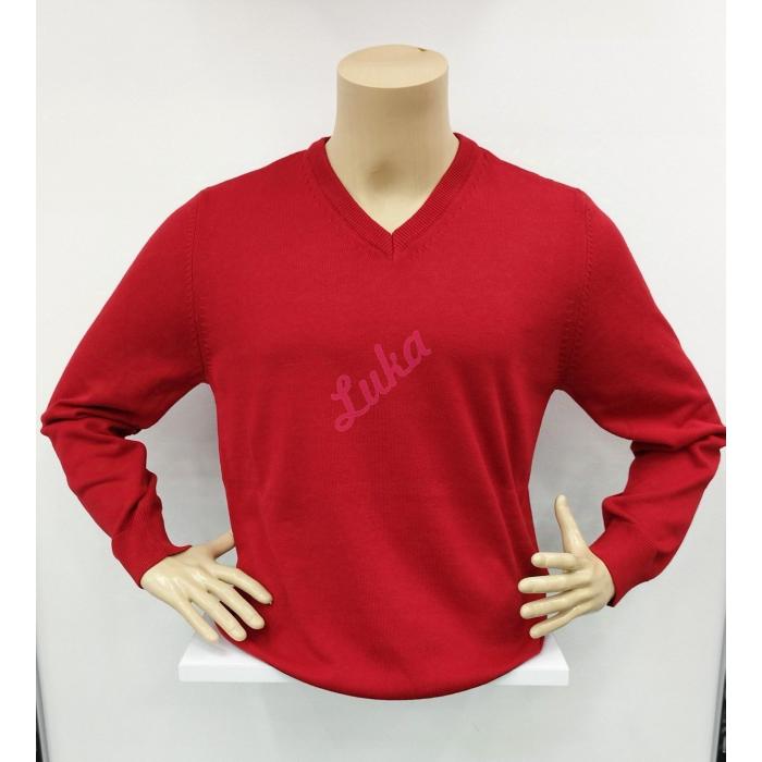 Men's sweater Basic 2210