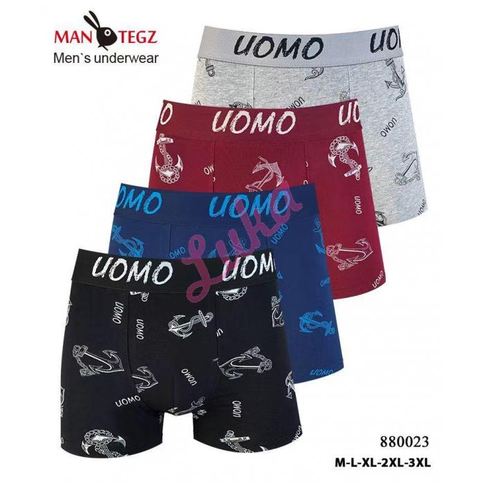 Men's boxer Mantegz