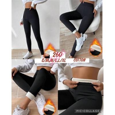 Women's warm leggings 260