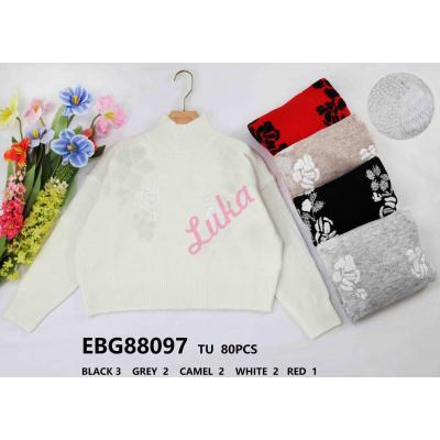 Women's sweater 87055