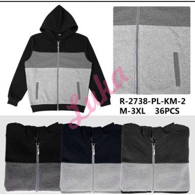 Men's hoodie 2747