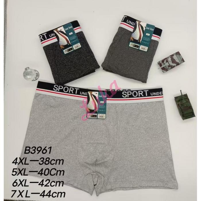 Men's boxer shorts Sweet Dream 3967 Big Size