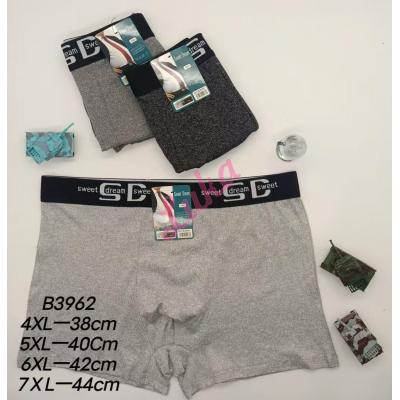 Men's boxer shorts Sweet Dream 3961 Big Size