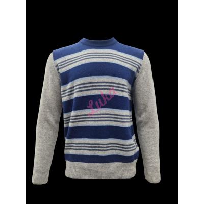 Men's sweater 1321