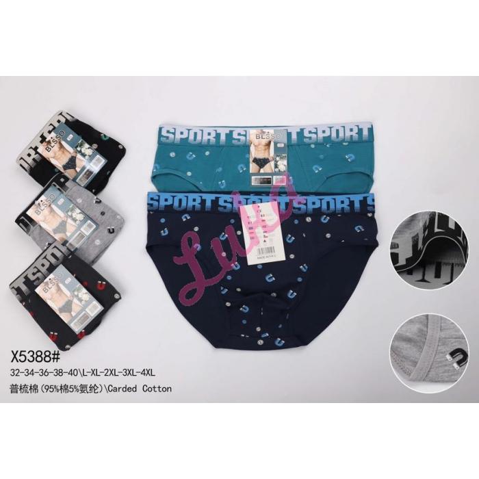 Men's panties Bixtra