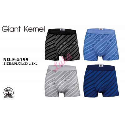 Men's boxer Giant Kernel F-5199