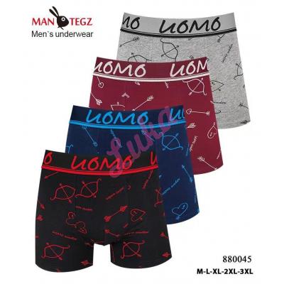 Men's boxer Mantegz