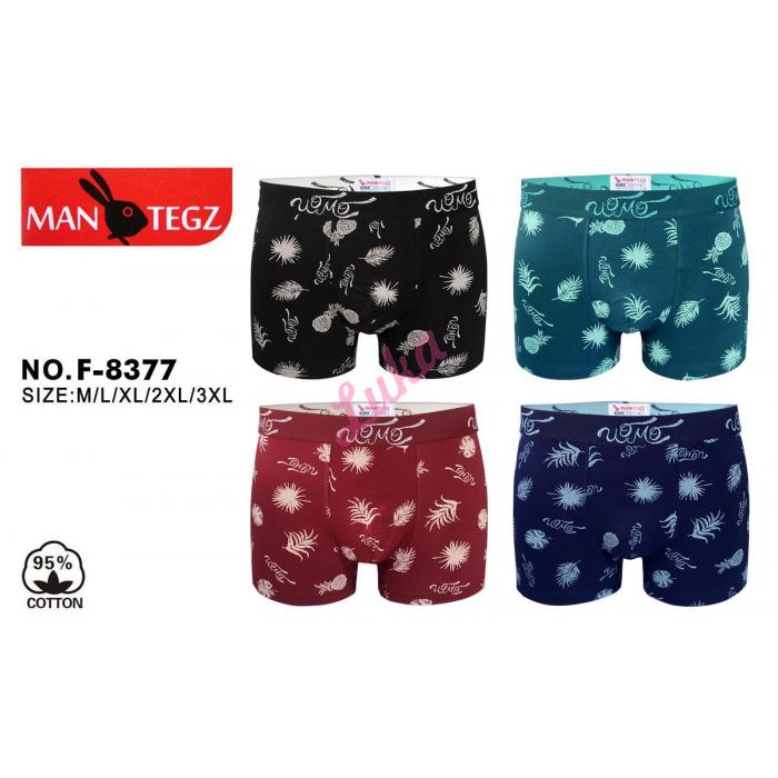 Men's boxer Mantegz F-8377