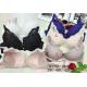 Brassiere Aimina 8761 B