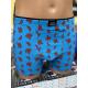 Men's boxer shorts C+3 vbe-