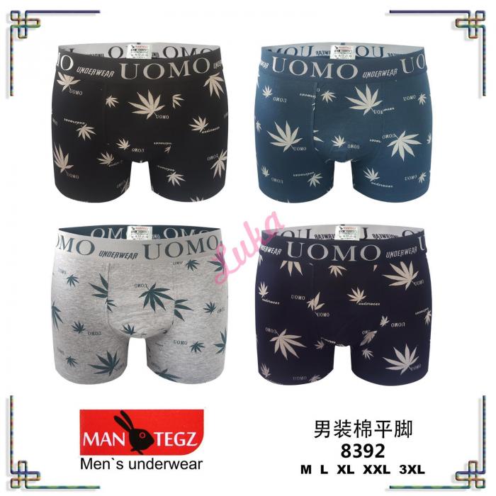 Men's boxer Mantegz 8360