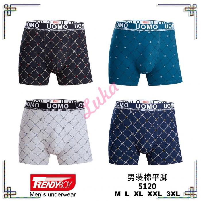 Men's boxer Trendy Boy 5120