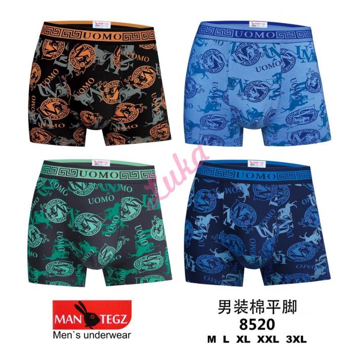 Men's boxer Mantegz 8520