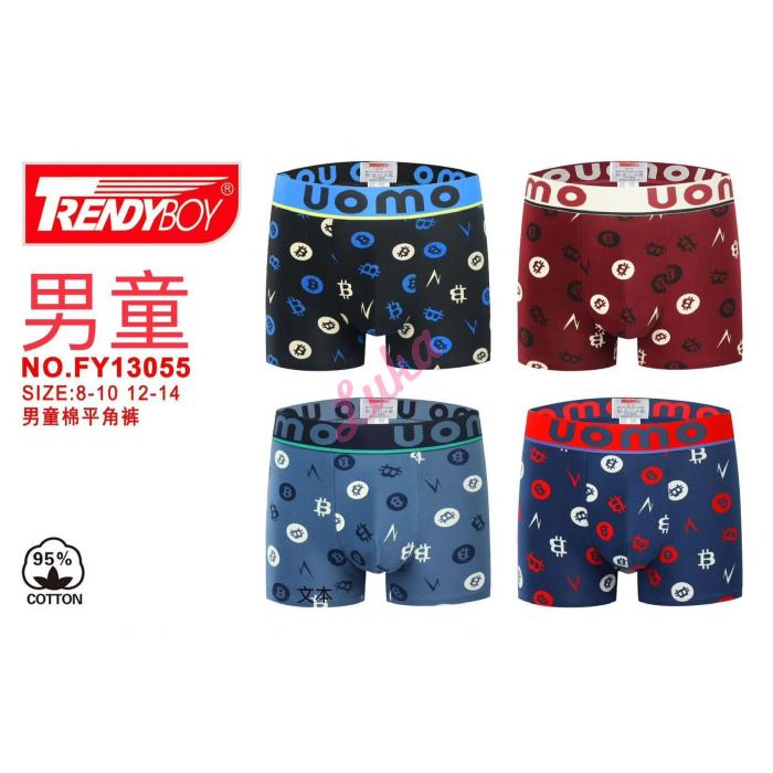 Teenager's boxer Trendy Boy FY13055