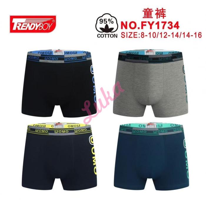 Teenager's boxer Trendy Boy FY1734