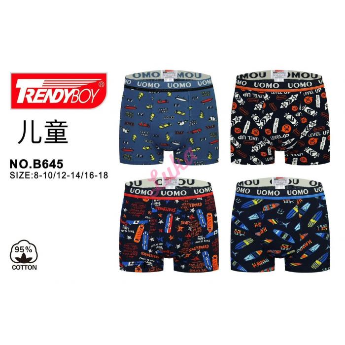 Teenager's boxer Trendy Boy B645