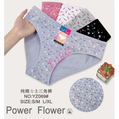 Women's panties Power Flower YZ069