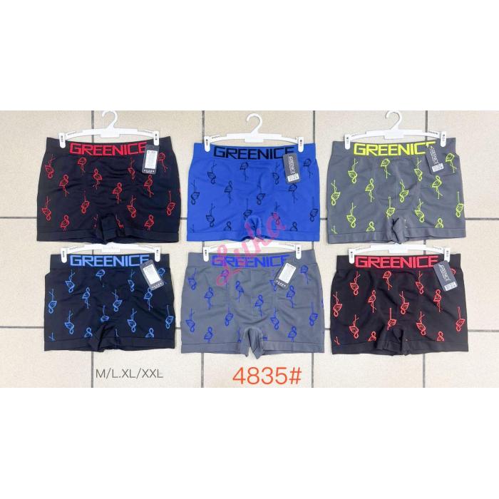 Men's boxer Greenice 4539