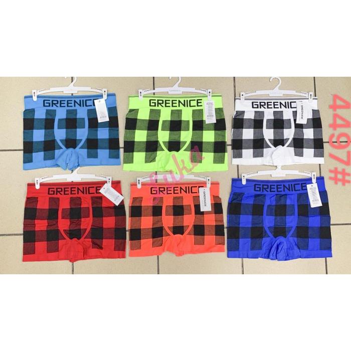 Women's panties Greenice 6483