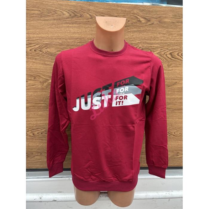 Men's hoodie LAJ-1416