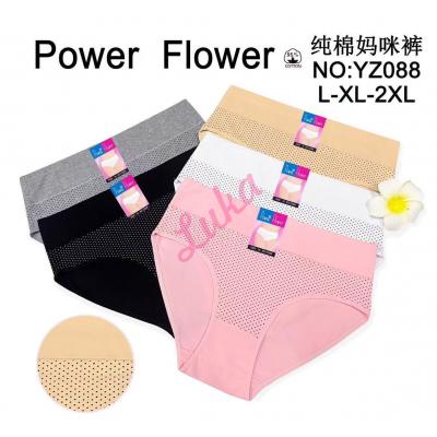 Women's Panties Power Flower YZ087