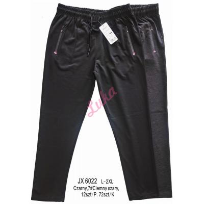 Spodnie męskie Must JX6022