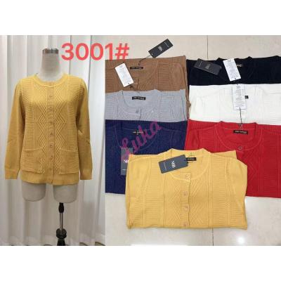 Women's sweater 3005