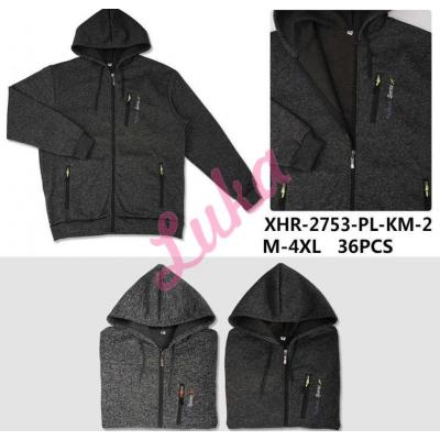 Men's hoodie R-2701