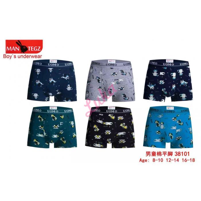 Teenager's boxer Trendy Boy 38101