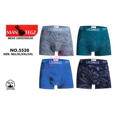 Men's boxer Mantegz 5530