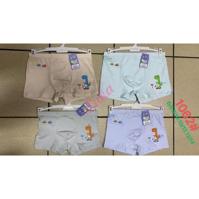 Kid's panties Greenice 6458